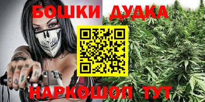 крисы Нягань