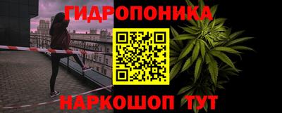 крисы Нягань
