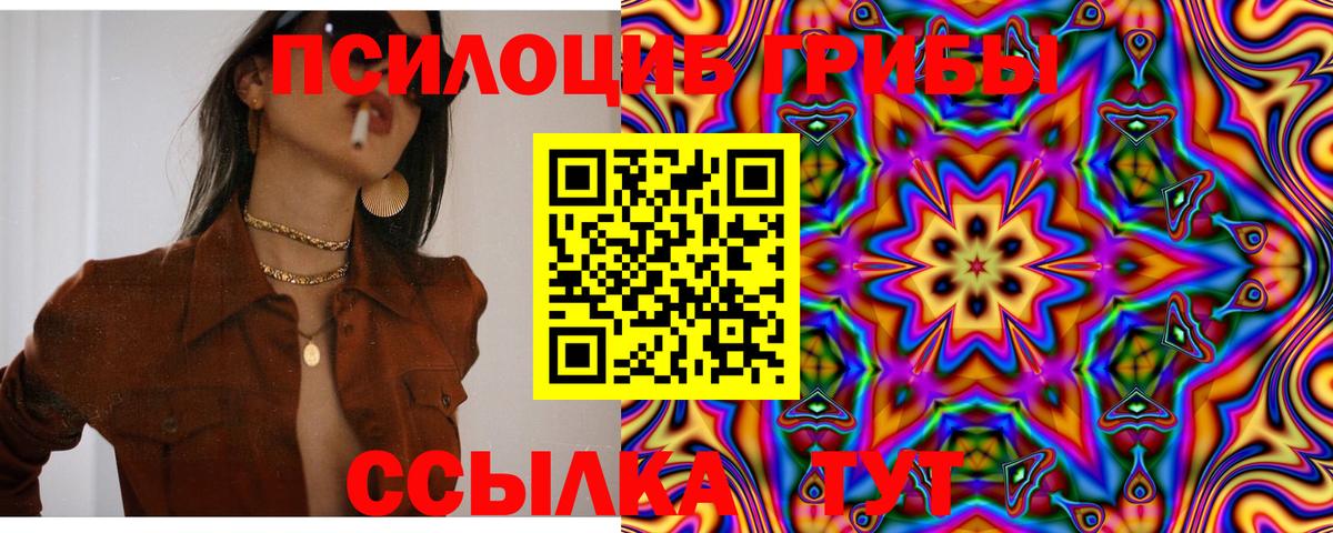 Шарыпово  Галлюциногенные грибы Psilocybine cubensis  Вход с VPN 